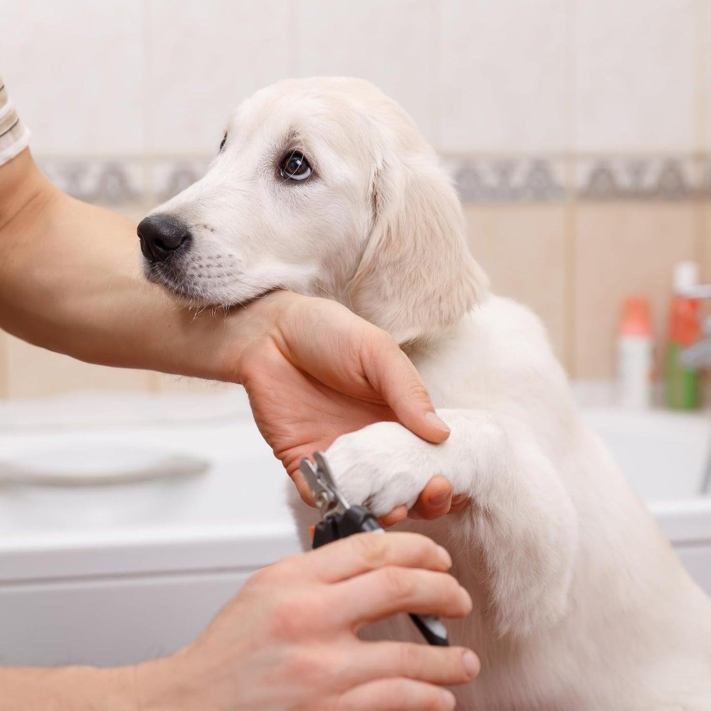 Nail Clippers for Dogs and Cats Accessories