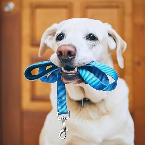 Heavy Duty Reflective Dog Leash Accessories