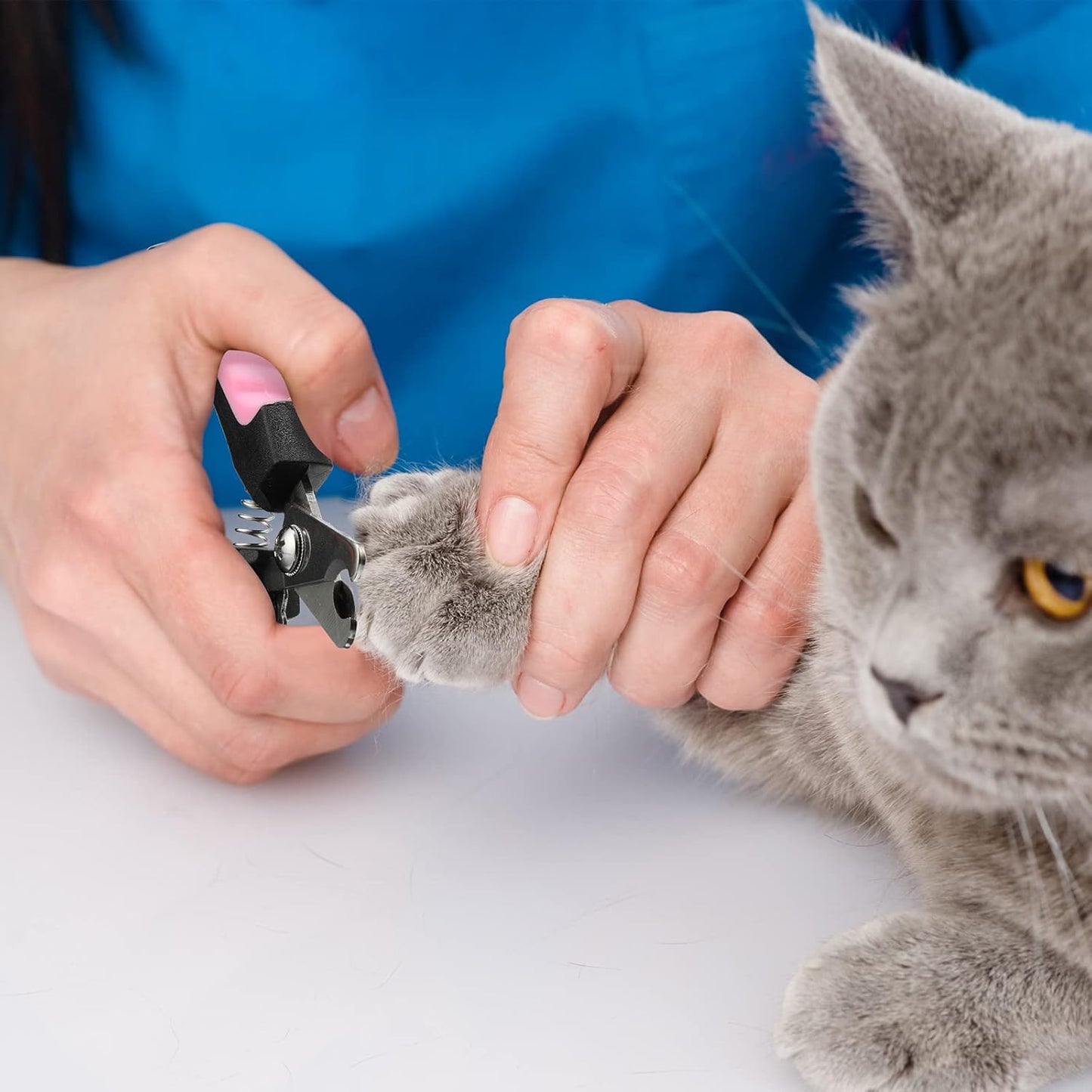 Nail Clippers for Dogs and Cats Accessories
