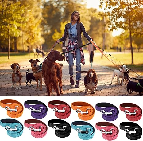 Heavy Duty Reflective Dog Leash Accessories