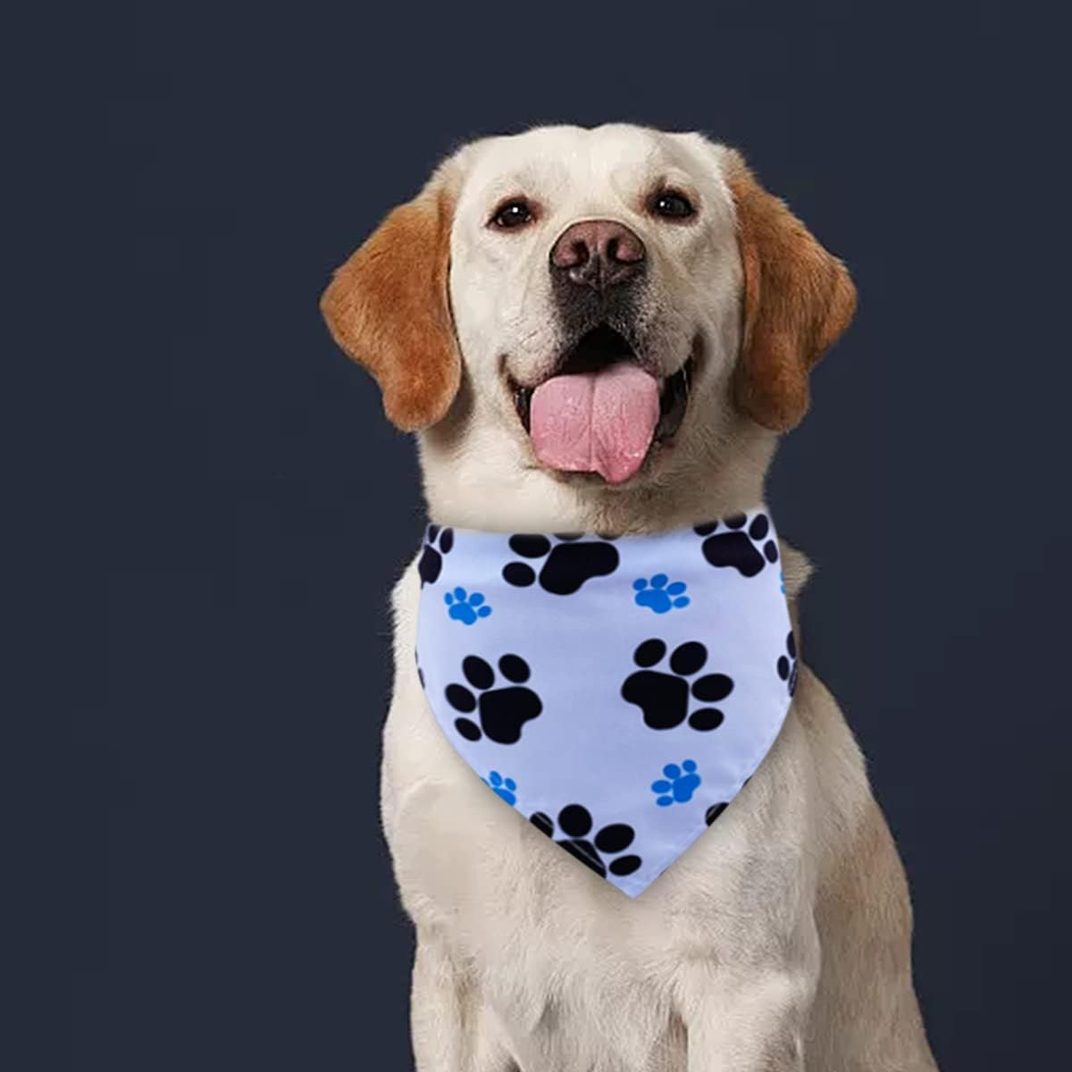 Bandanas Individual Accessories