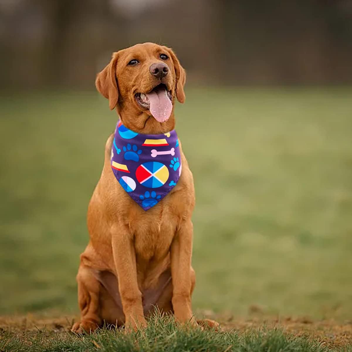 Bandanas Individual Accessories